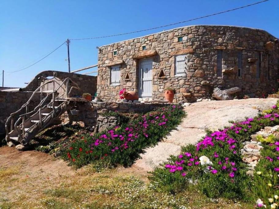 Villa Hippy Mykonos *
